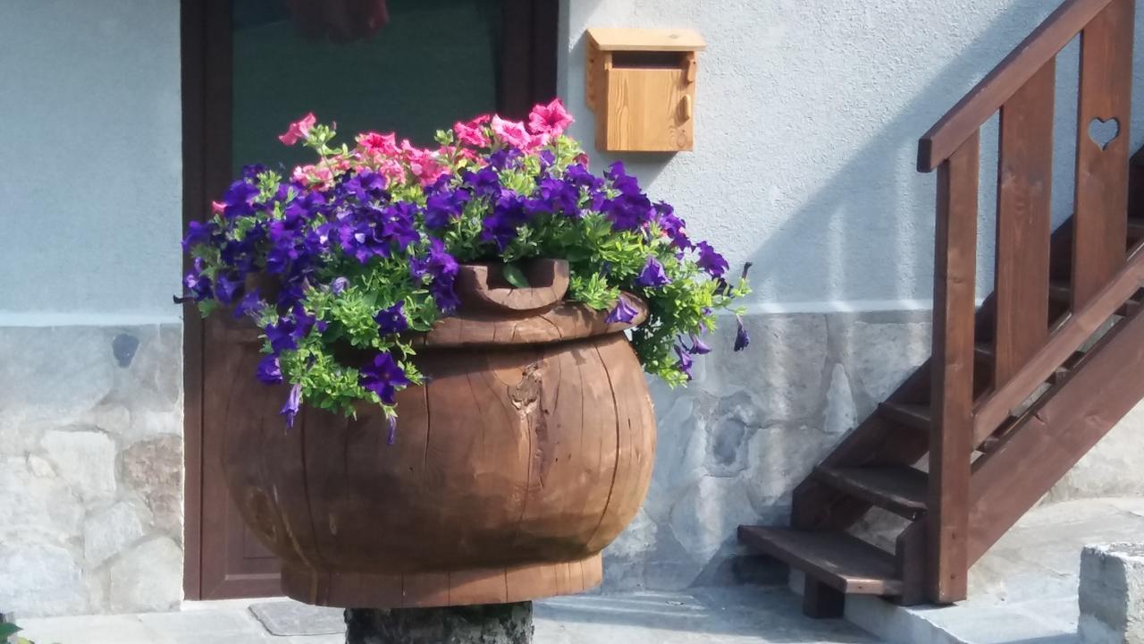 Maison Des Abeilles Vda Gressan N 0028 المظهر الخارجي الصورة